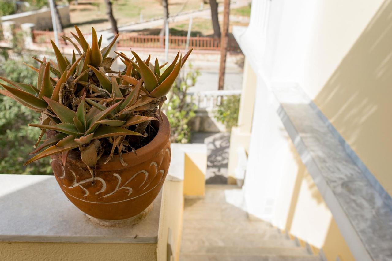 Mother'S House In Syros Aegean Sea Posidhonia  Екстер'єр фото