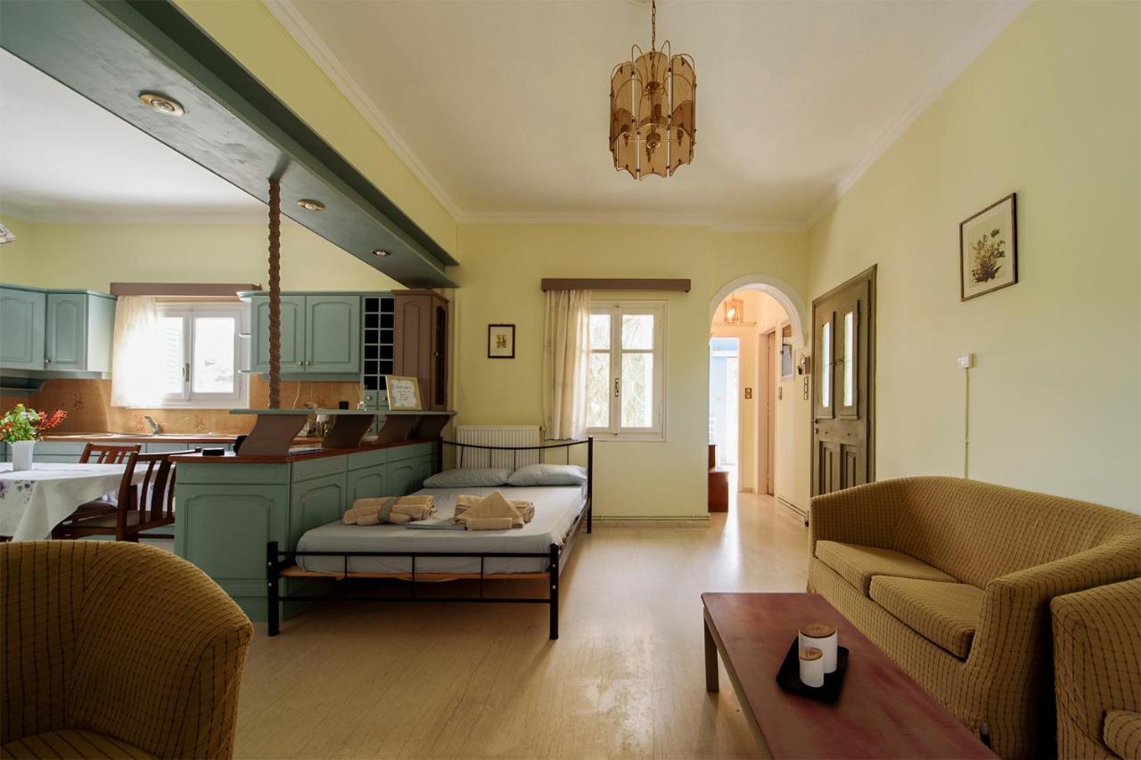 Mother'S House In Syros Aegean Sea Posidhonia  Екстер'єр фото