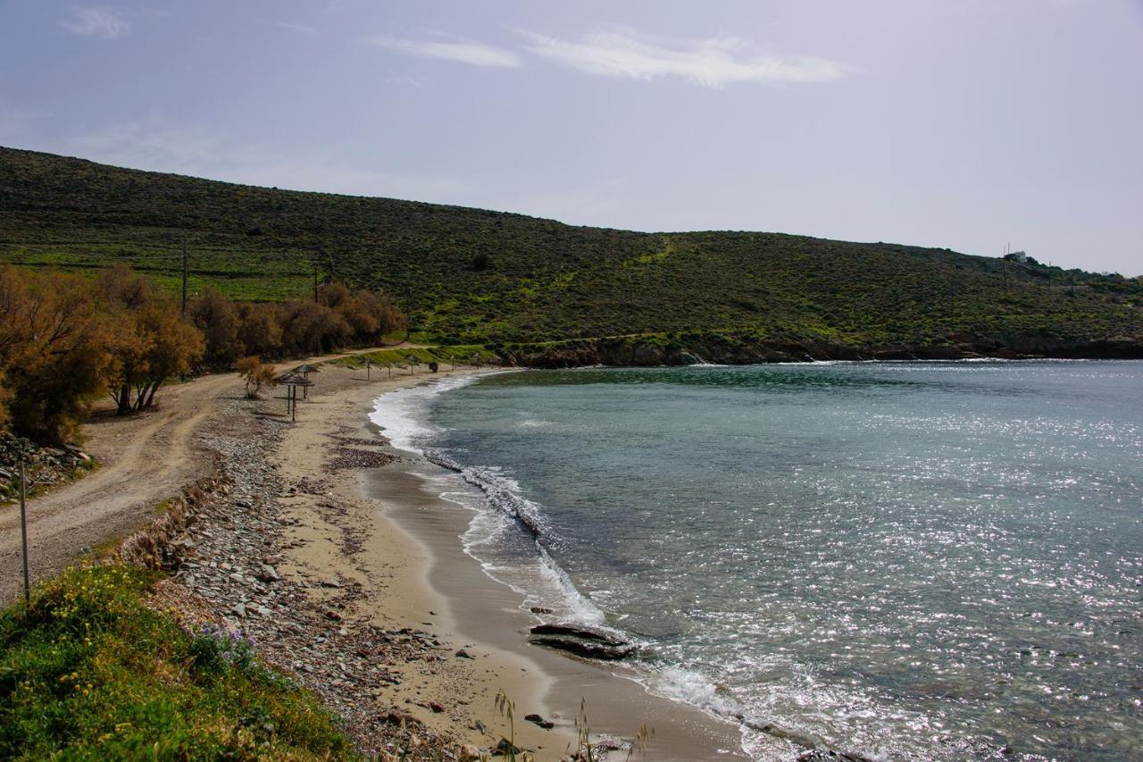 Mother'S House In Syros Aegean Sea Posidhonia  Екстер'єр фото